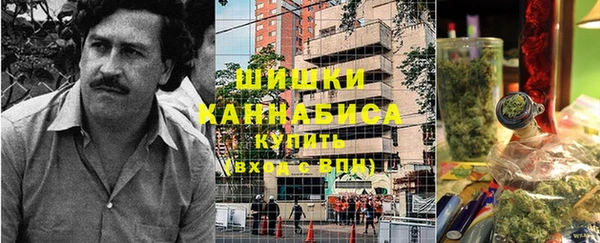прущие грибы Алзамай