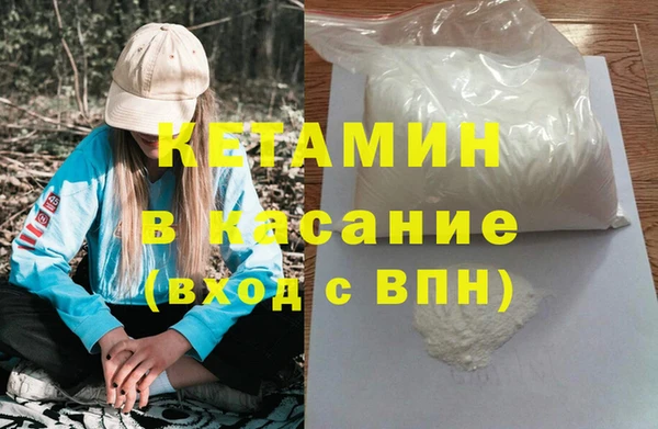сатива Аркадак