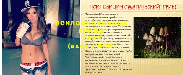 MESCALINE Армянск