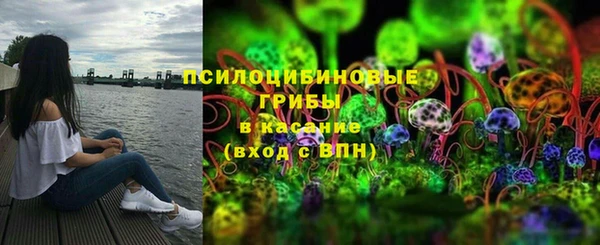 прущие грибы Алзамай
