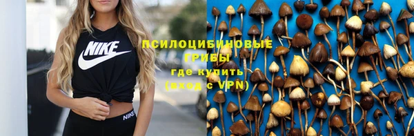 стаф Алексеевка