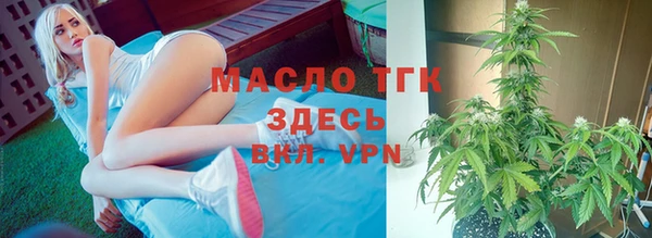 сатива Аркадак