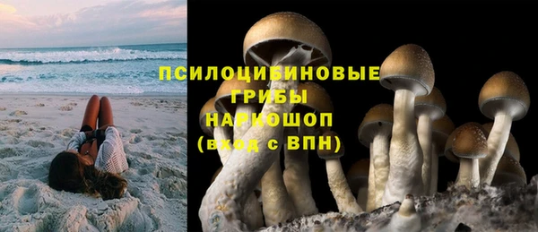 прущие грибы Алзамай