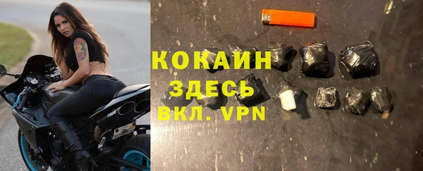 сатива Аркадак