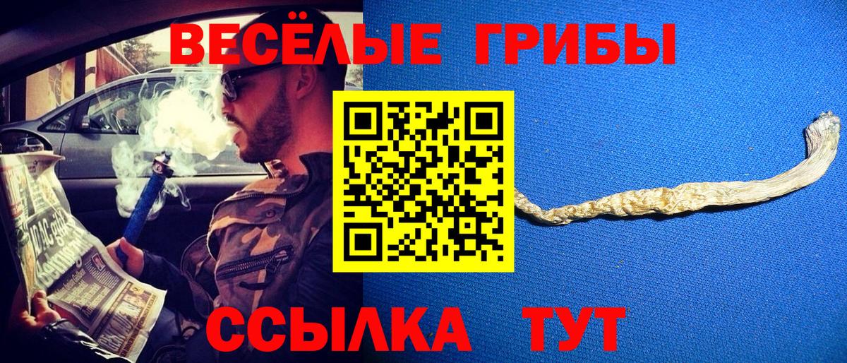Галлюциногенные грибы GOLDEN TEACHER  Вход с VPN  Строитель 