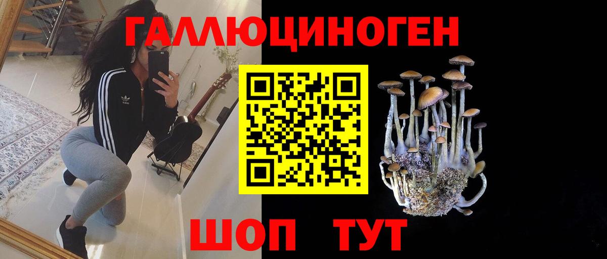 Галлюциногенные грибы Psilocybe Строитель